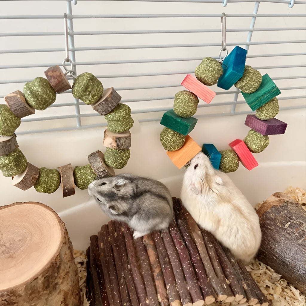 Hamster chew toy with straw ball and applewood ring components for small pets
