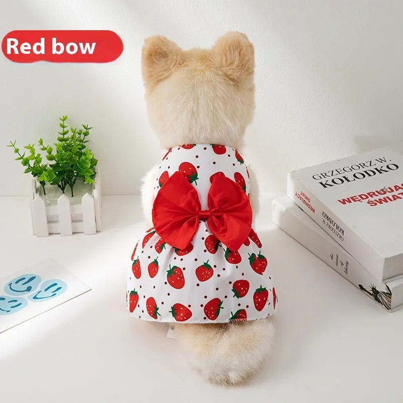Orange floral butterfly pet dress with a bow on a dog, showing thin summer clothing.