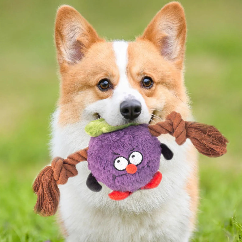 Green and purple interactive dog toy with plush rope knot design for tug of war games