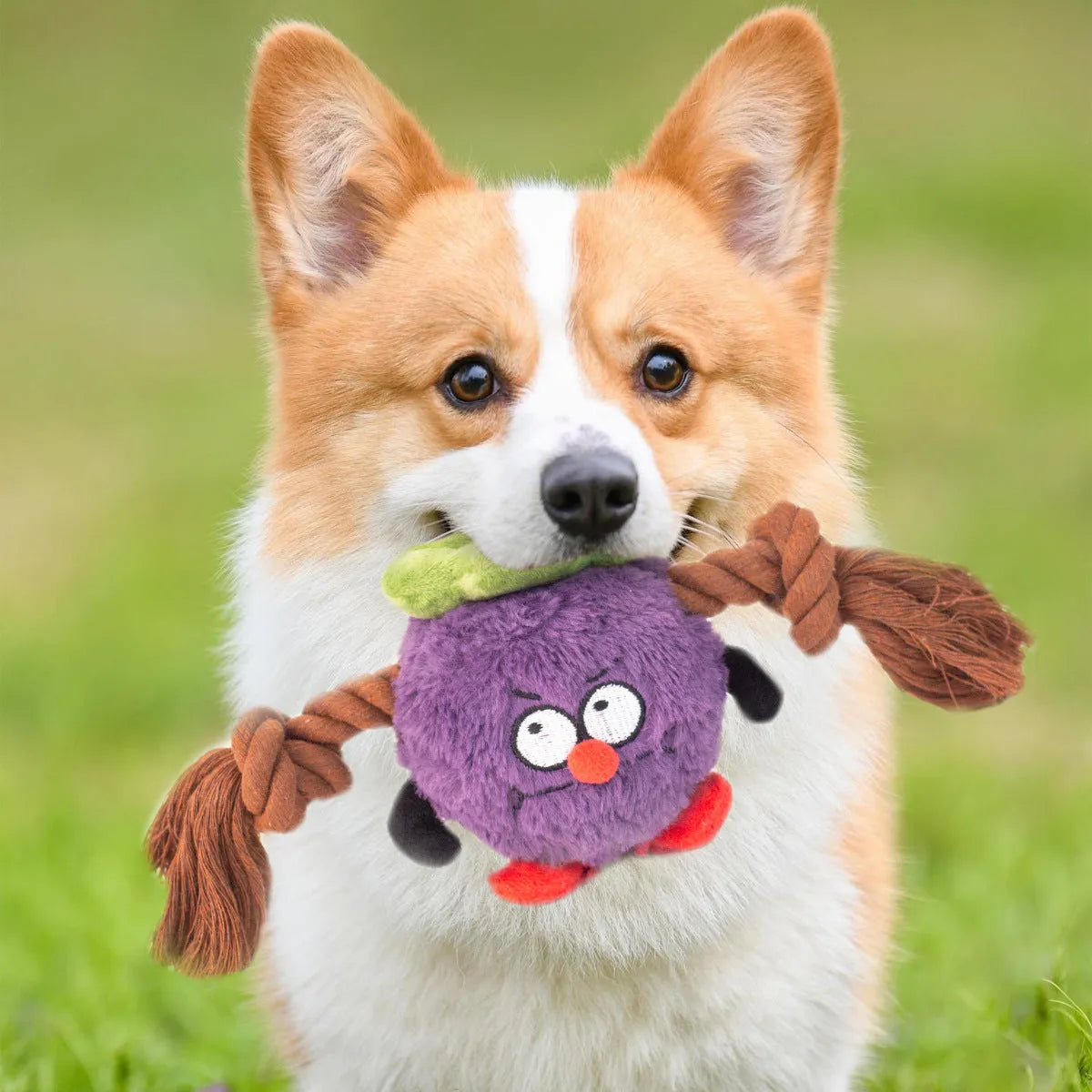 Green and purple interactive dog toy with plush rope knot design for tug of war games