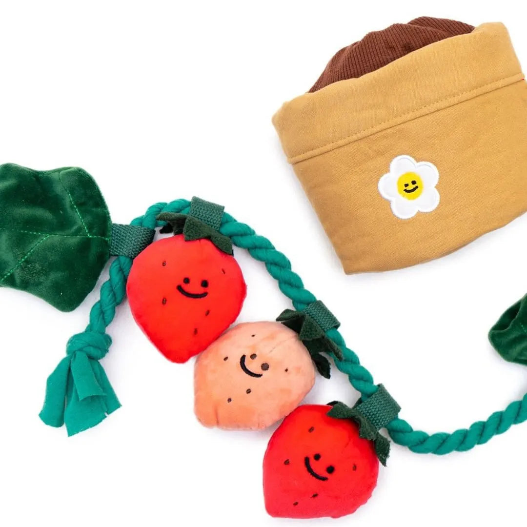 Strawberry potted plant set plush pull toy in photo colour for pet treat hiding