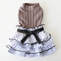 Polka dot lace cake dress pet clothes in taro purple on a small dog, princess style with lace detailing