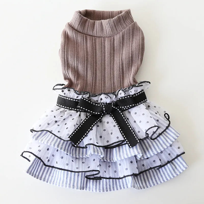 Polka dot lace cake dress pet clothes in taro purple on a small dog, princess style with lace detailing