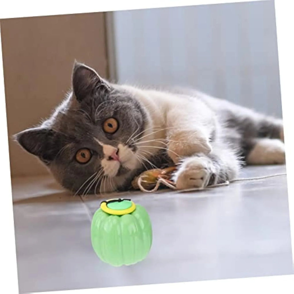 Halloween pumpkin design squeaker dog chew ball toy for puppies