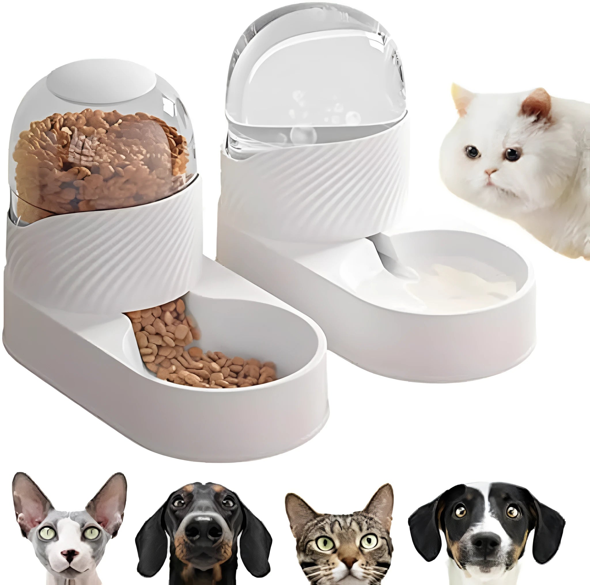 White cat feeder and water dispenser set with wave-pattern design and 2L capacity bowls