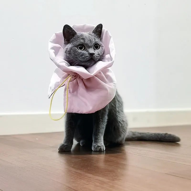 Soft blue adjustable cat recovery collar with elastic buckle on a flat surface