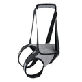 Grey neoprene dog rear leg recovery support belt wrapped around canine hindquarters