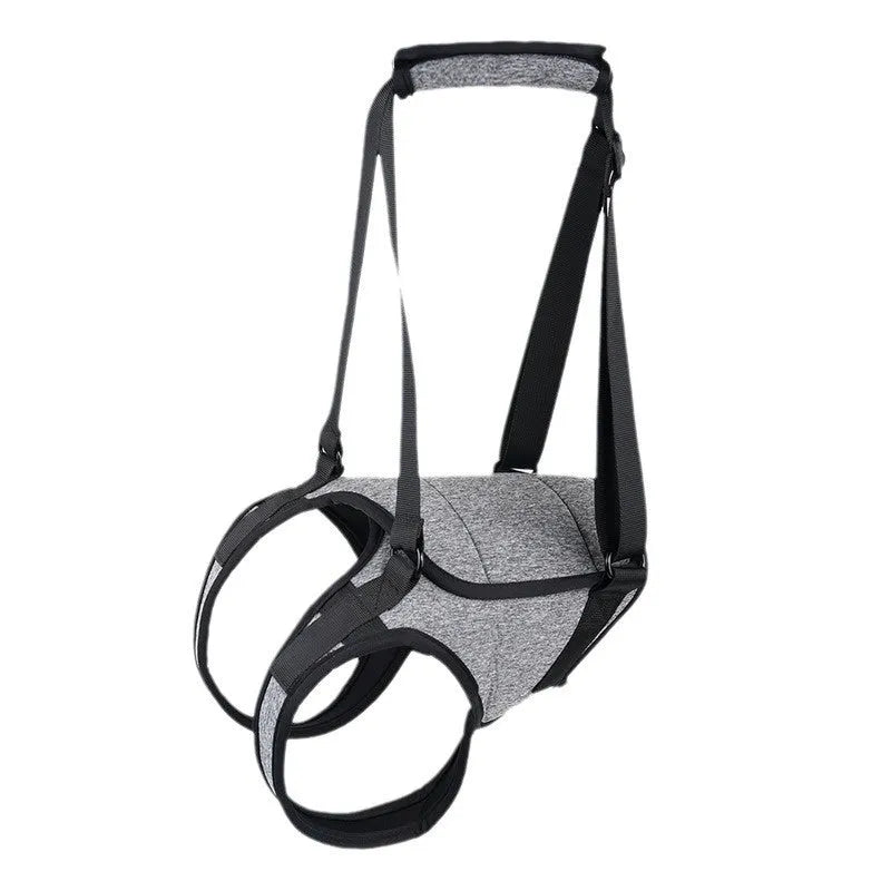 Grey neoprene dog rear leg recovery support belt wrapped around canine hindquarters