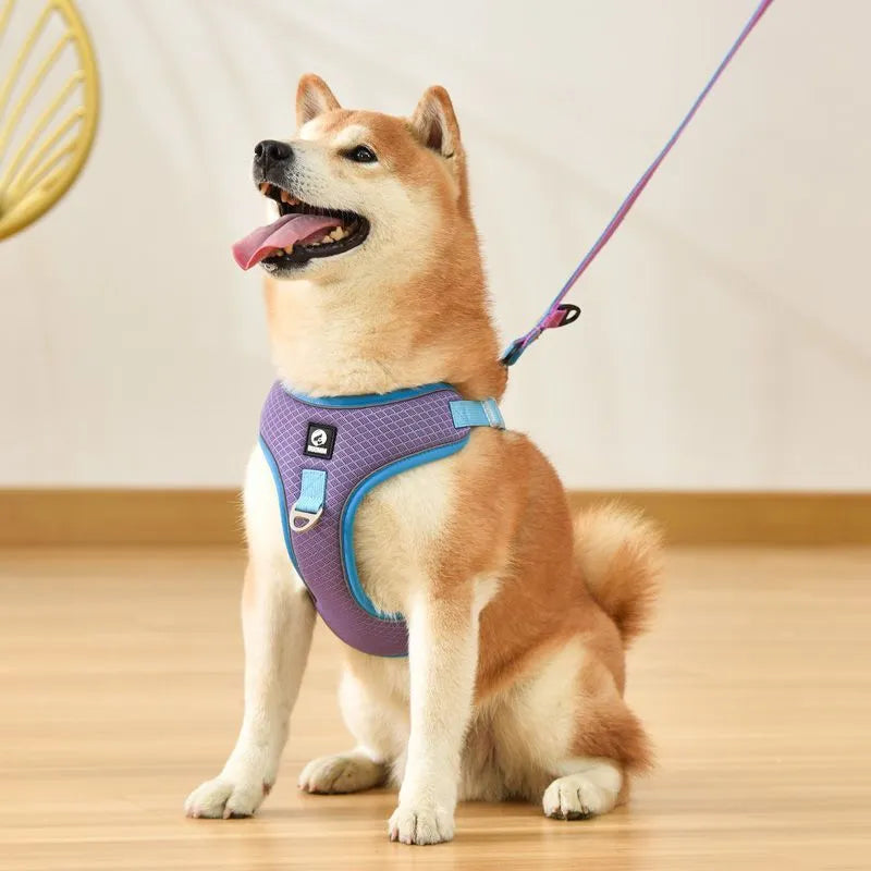 Breathable mesh dog harness with reflective piping in black, red, gray, or light purple for small medium pets