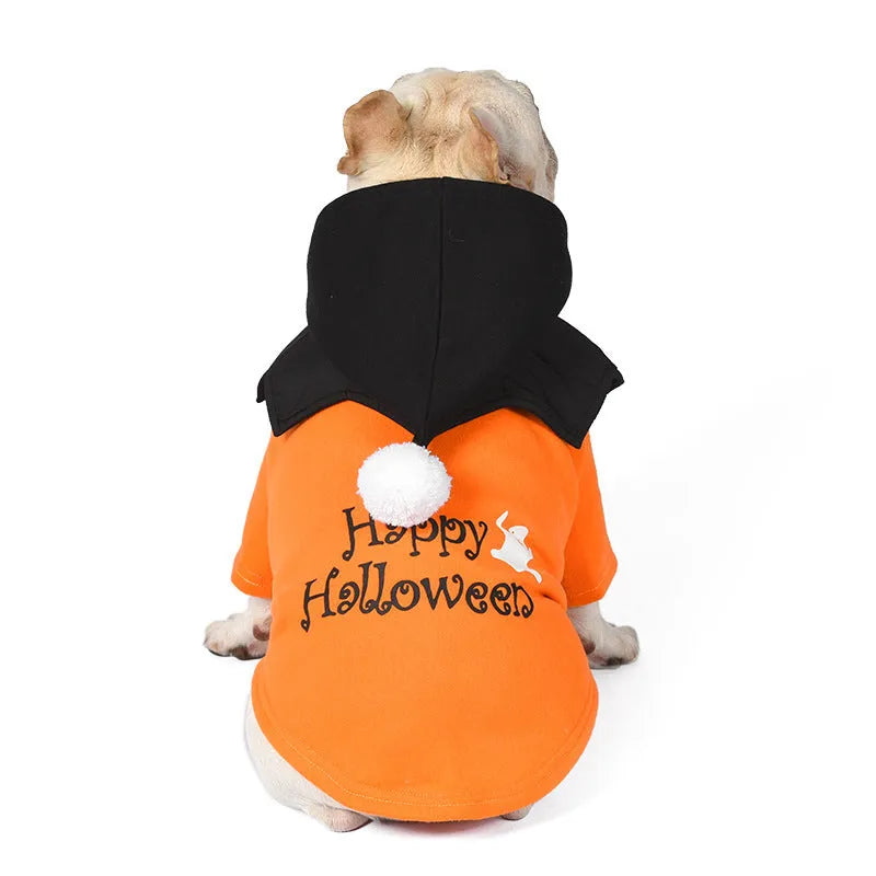 Black and orange Halloween pumpkin dog costume with sweater and shawl pieces