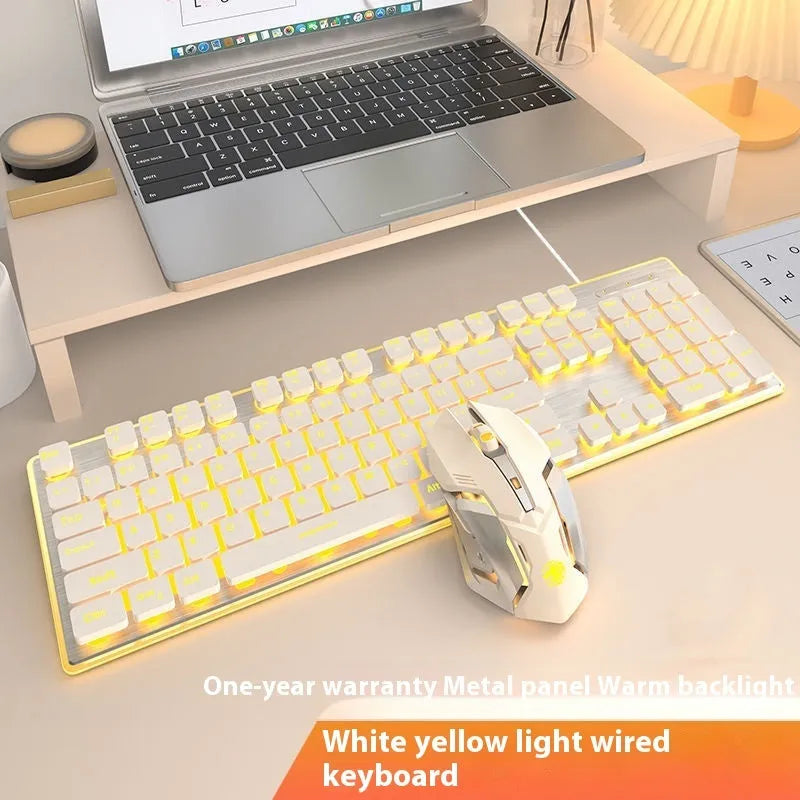 Mute mechanical keyboard with LED lighting and matching wired mouse in silver white blue colour combination