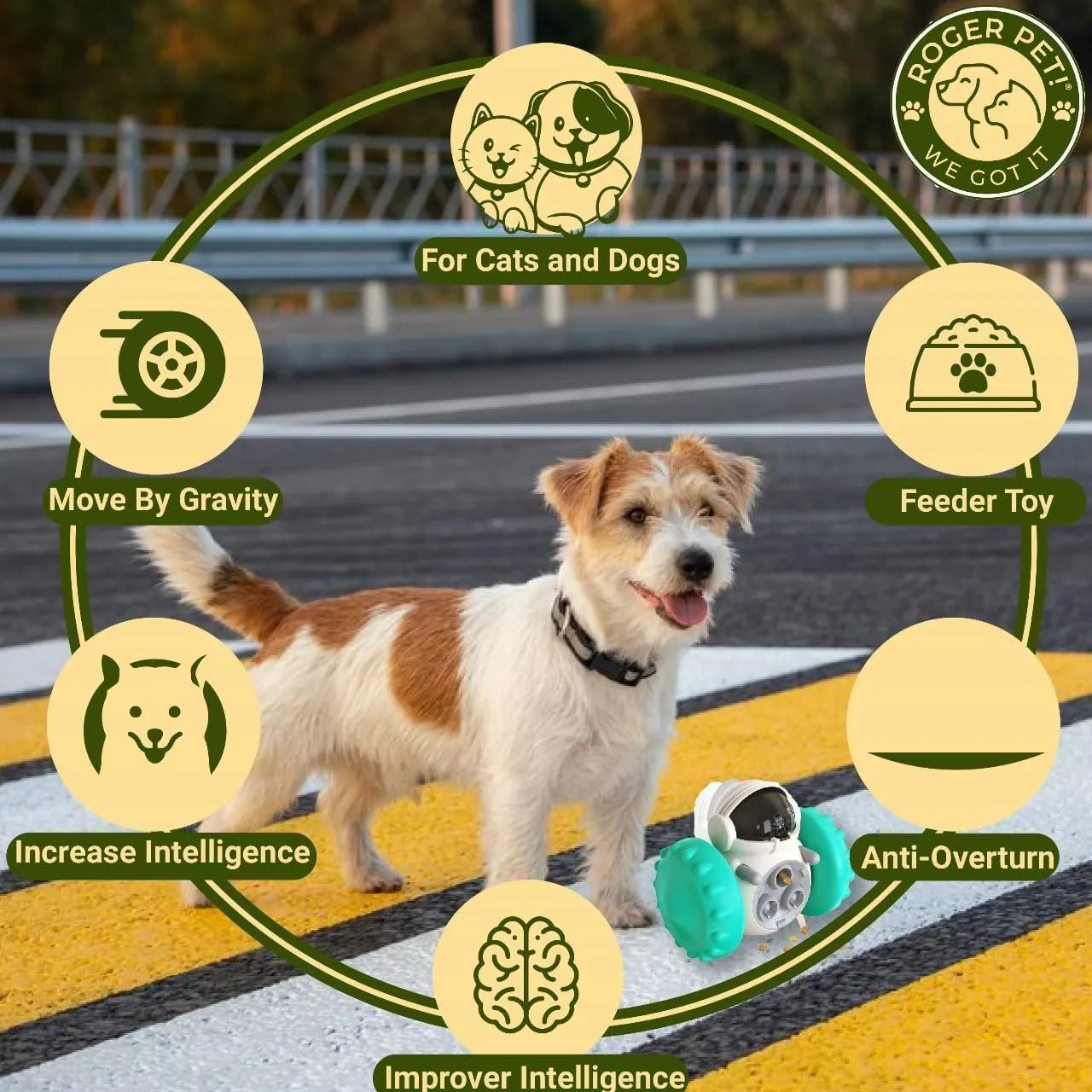 Small dog treat dispenser toy with robot appearance in five colour options showing dimensions