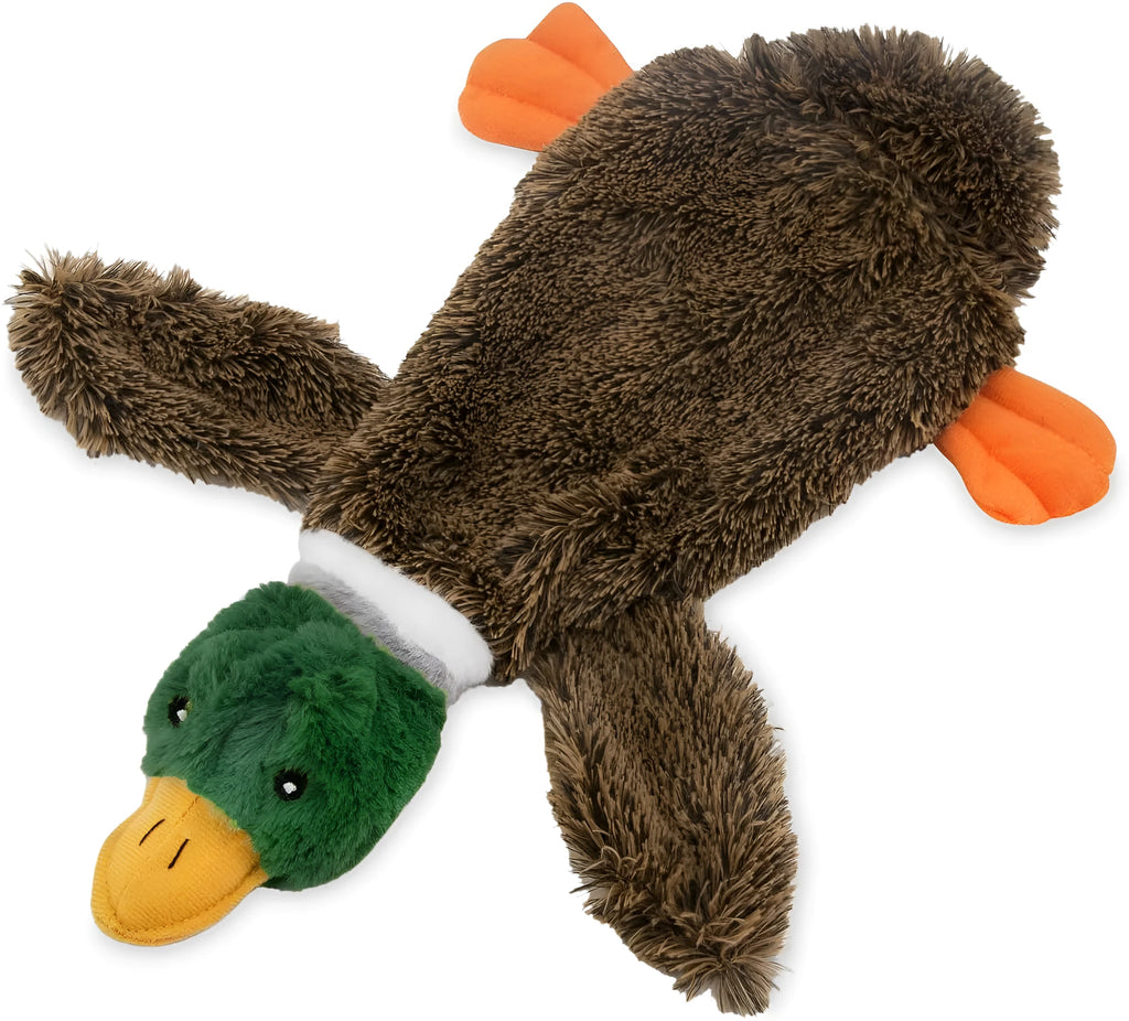 Green plush duck dog toy with stuffless design and two squeakers