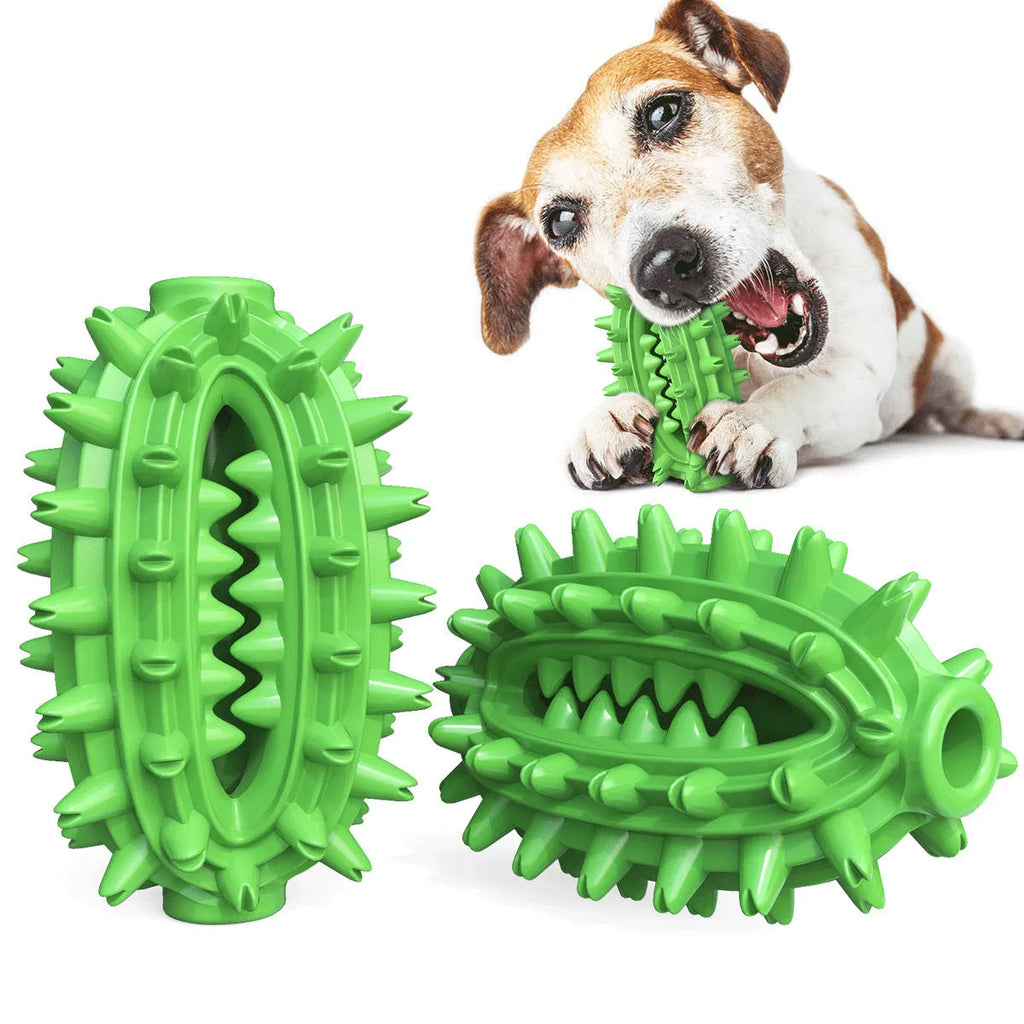 Green cactus-shaped dog toothbrush chew toy for medium to large breed dental cleaning