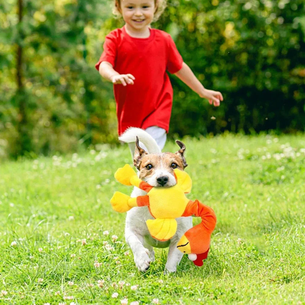 Screaming chicken sound dog chew toy in three colour options for small to medium dogs