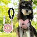 Polyester pet walking vest and hand-holding rope combo set in four colour options