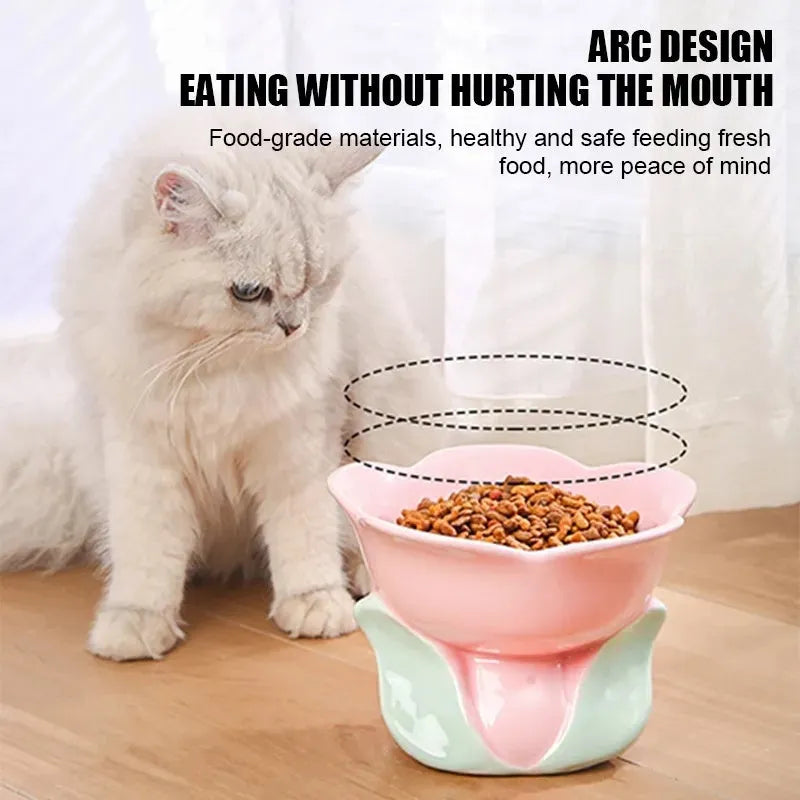 Pink floral patterned raised ceramic bowl for cat or small dog feeding on a non-slip base.