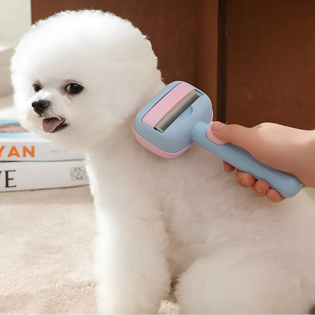 Blue double-sided pet grooming brush showing deshedding rake and dematting comb on a 195mm long handle.
