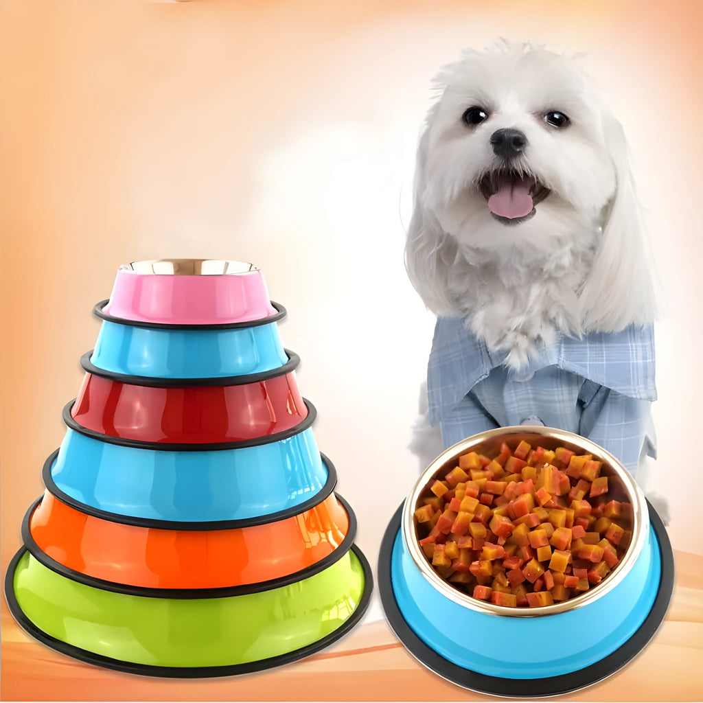 Stainless steel pet bowl with colourful melamine exterior and non-slip rubber base