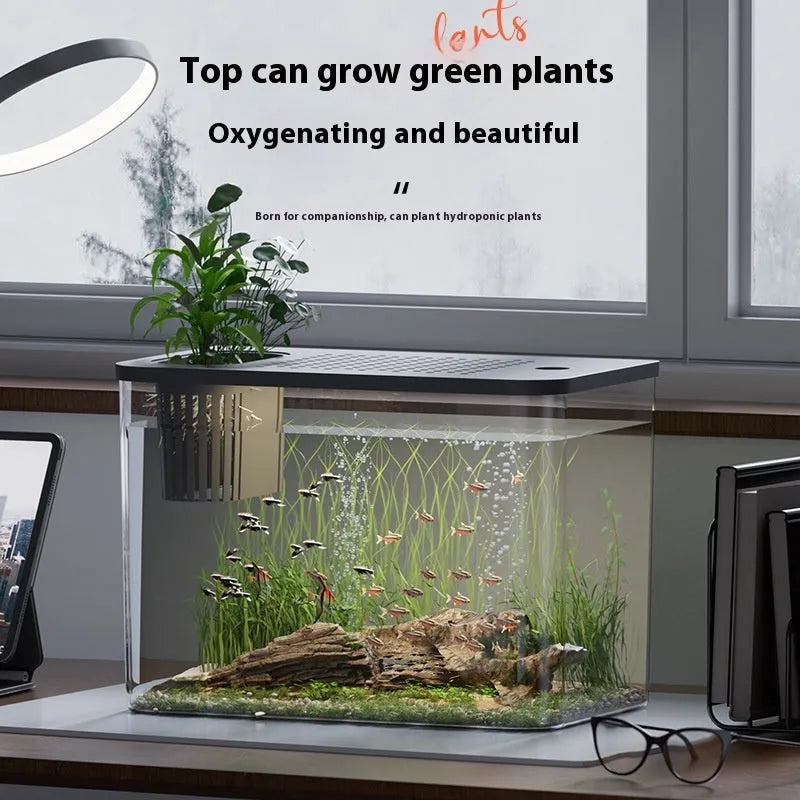 Medium black plastic betta fish tank with cover measuring 32cm length