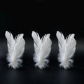 Tumbler cat toy in white with three replacement feathers on a light background