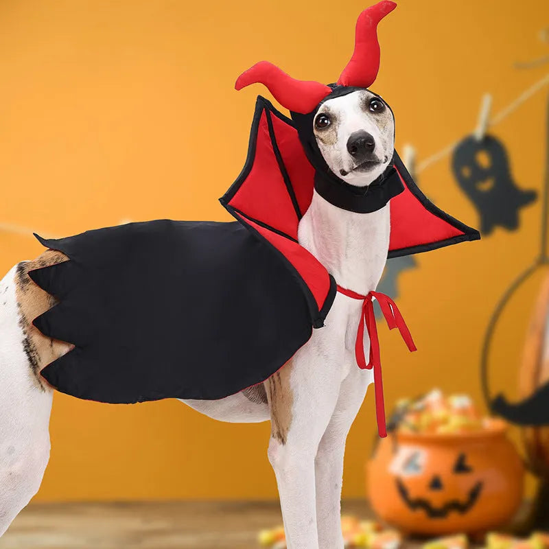 Black polyester vampire cloak and hat pet Halloween costume on a mannequin, size U.