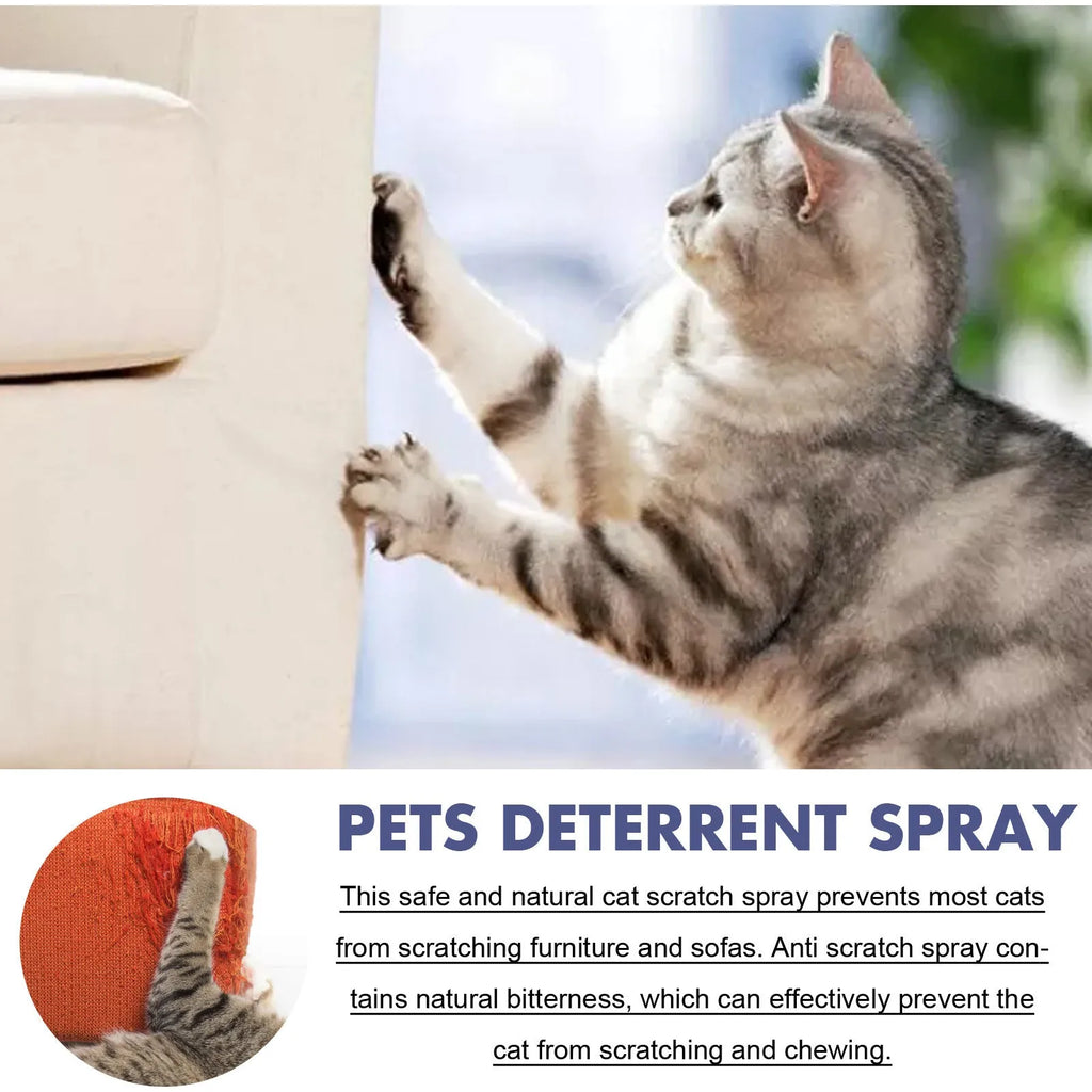 50ml pet deterrent spray bottle in box for stopping dogs and cats scratching furniture