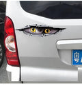 3D car door decoration sticker with Tiger Eye or Eagle Eye pattern on vehicle bumper