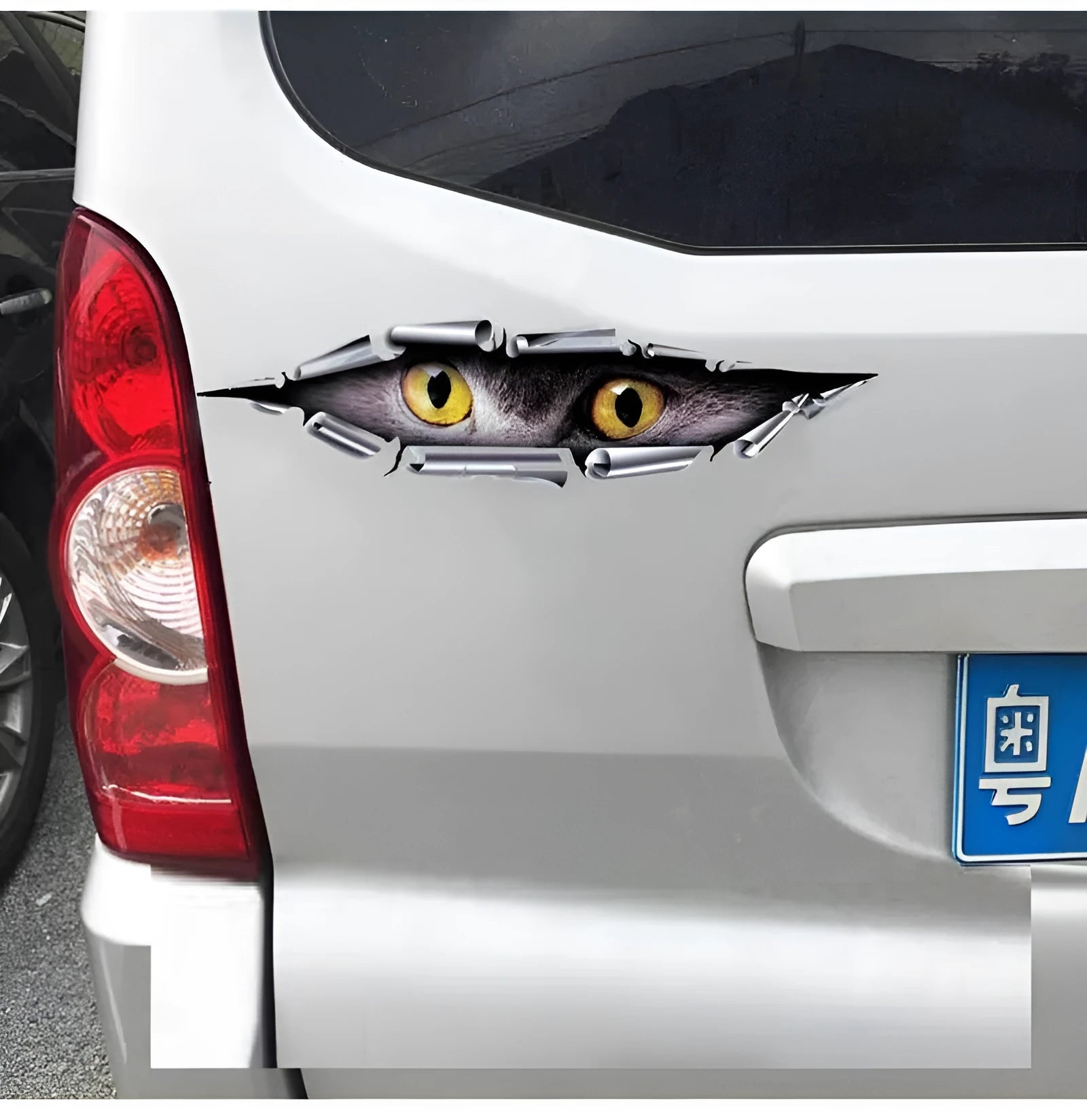 3D car door decoration sticker with Tiger Eye or Eagle Eye pattern on vehicle bumper