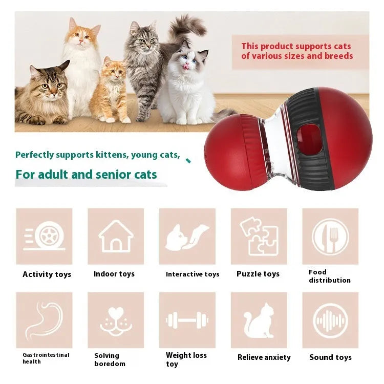 Plastic rotating cat puzzle feeder toy with a toy cat design and a super ball.