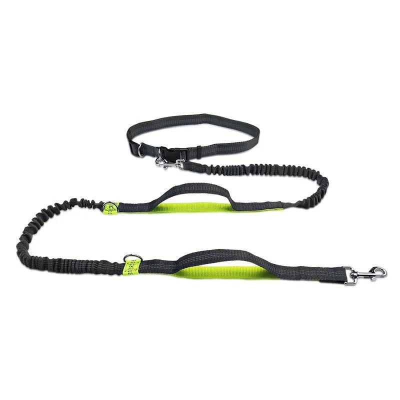 Reflective telescopic dog leash with adjustable belt, polyester construction, in fluorescent green colour with dual handles