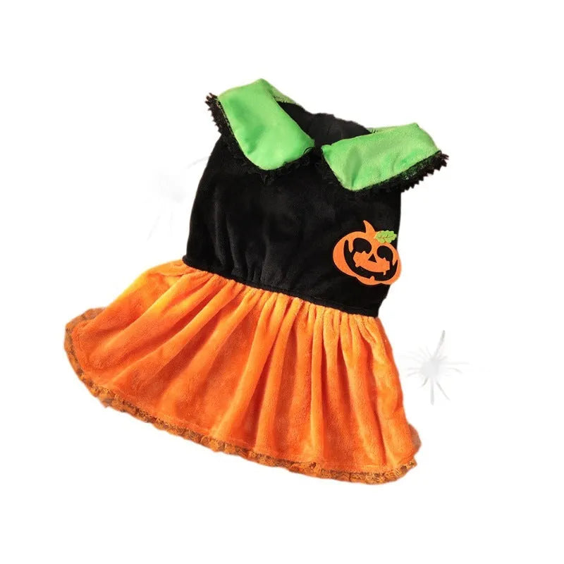 Halloween pumpkin skirt costume on a small dog made from crystal velvet fabric