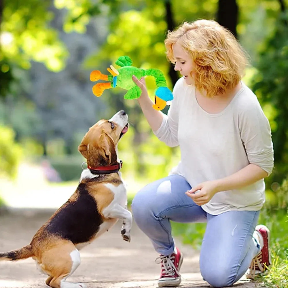 Screaming chicken sound dog chew toy in three colour options for small to medium dogs