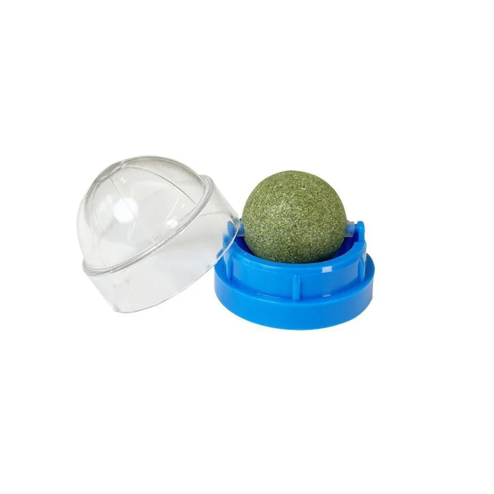 Plastic catnip ball toy with textured teeth cleaning surface in various colours