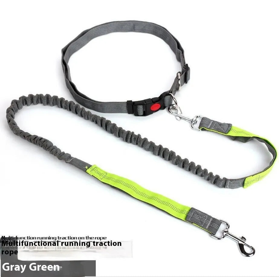 Elastic dog leash with reflective filament in two-tone colour combination, showing adjustable sling and standard clip attachment