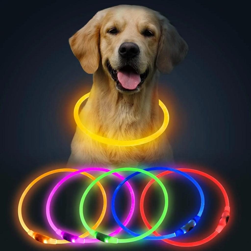 Blue LED dog collar glowing with adjustable TPU band and USB charging port visible