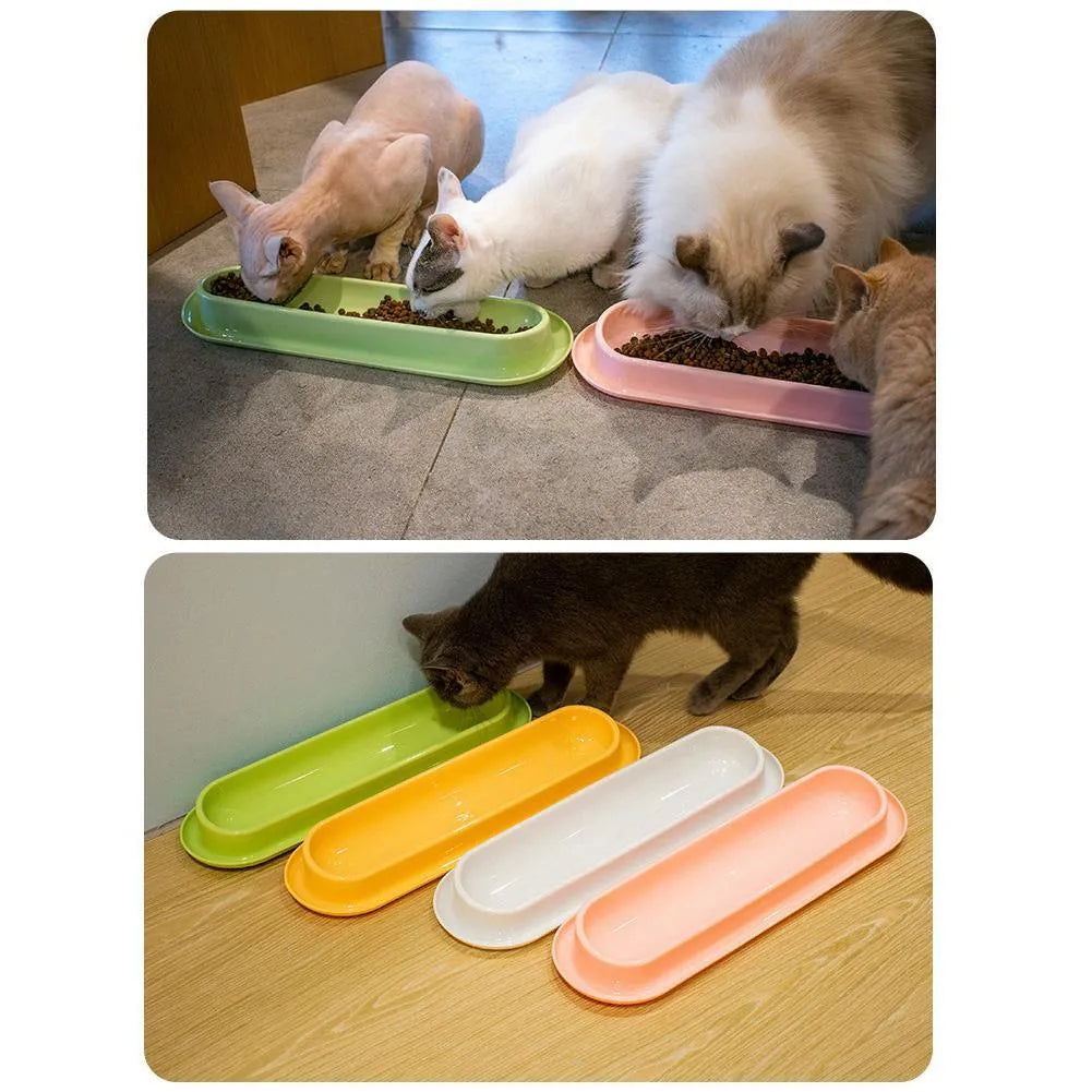 Green leakproof pet bowl set with non-slip rubber base for cats and dogs