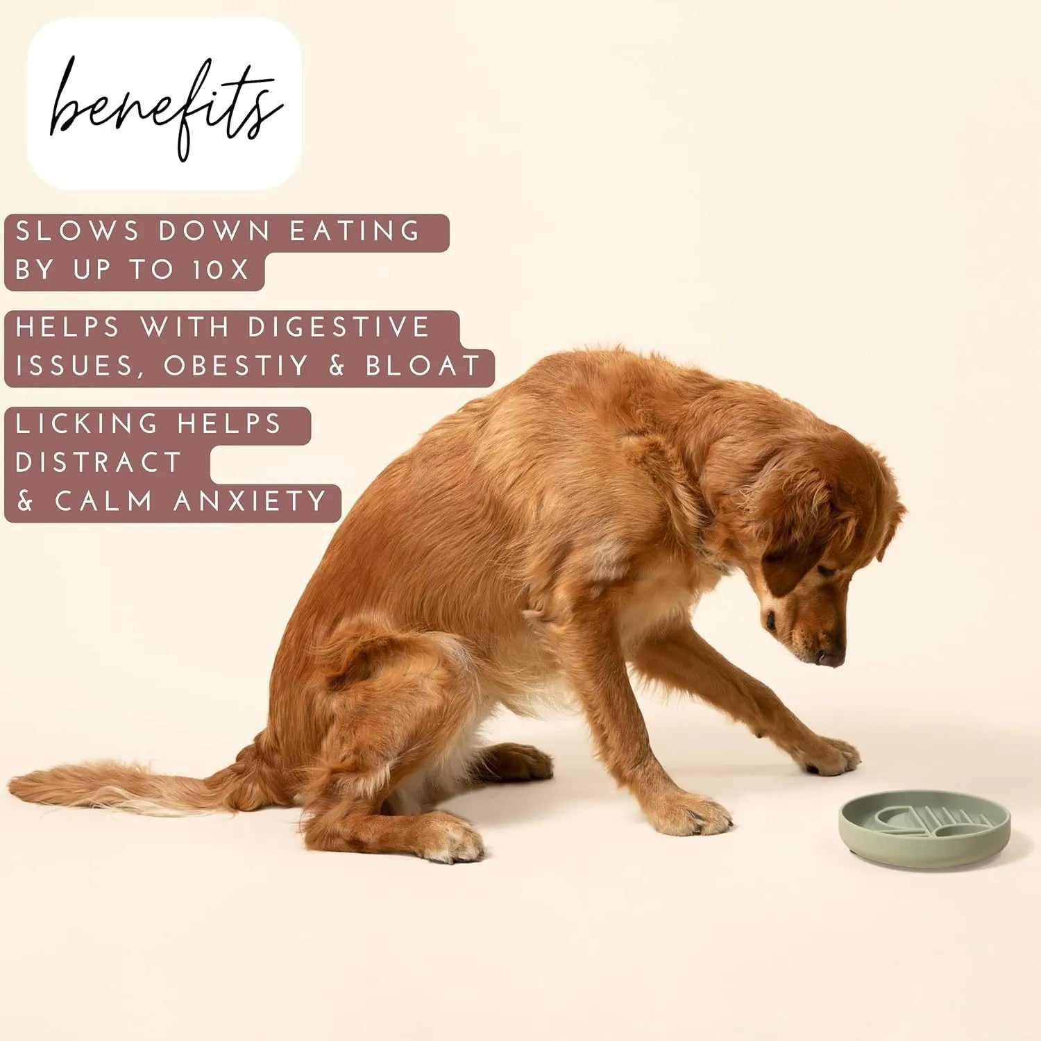 Silicone dog slow feeder bowl with ridges, shown in mustard green colour