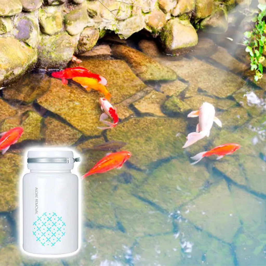 50g algaecide container for swimming pool algae removal and moss treatment