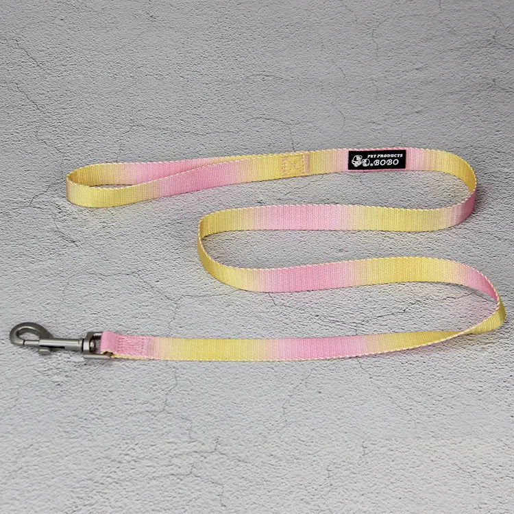 Nylon dog leash set with collar and harness in a pink and blue gradient colour.