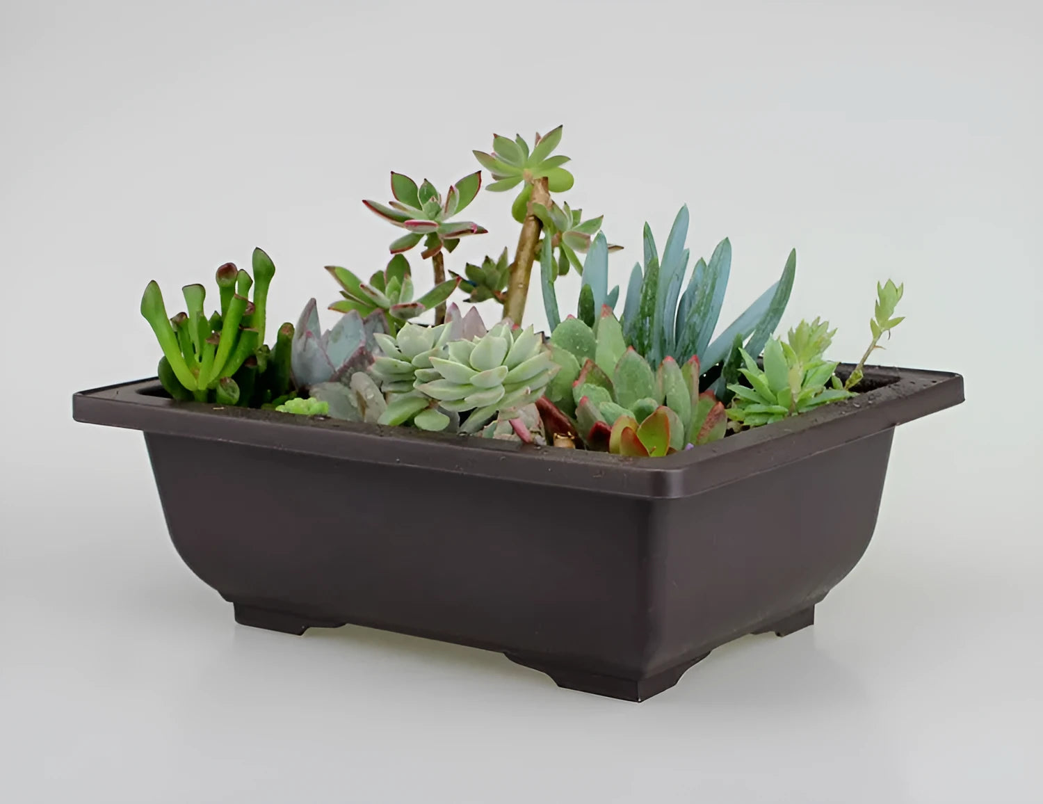 Dark brown antique-style recycled plastic flowerpot showing rectangular and square size options.