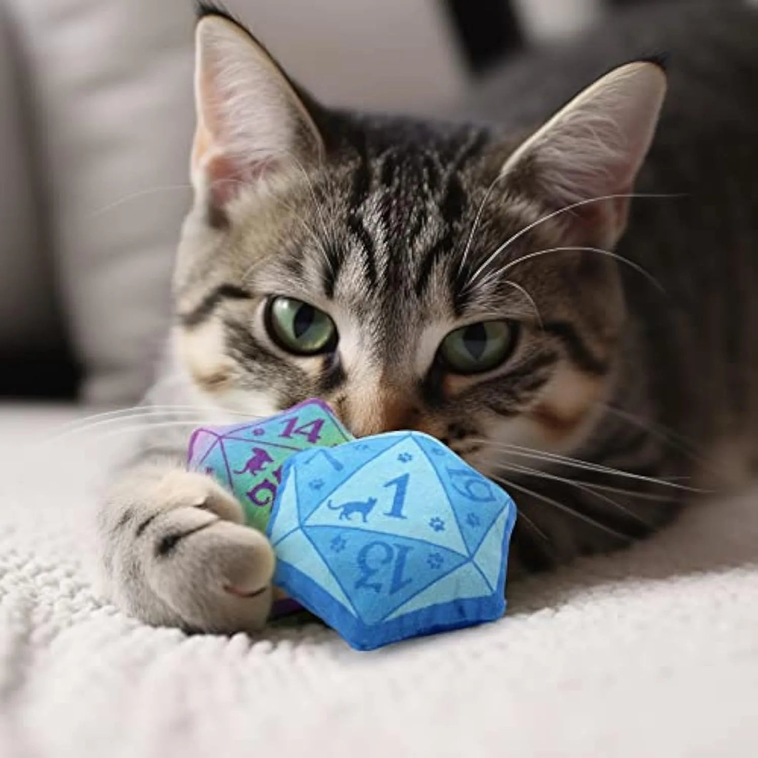 Dice-shaped plush catnip toy in multiple colours for D&D and cat play