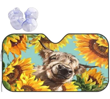 Telescopic aluminium foil car sun visor extended across a vehicle windshield