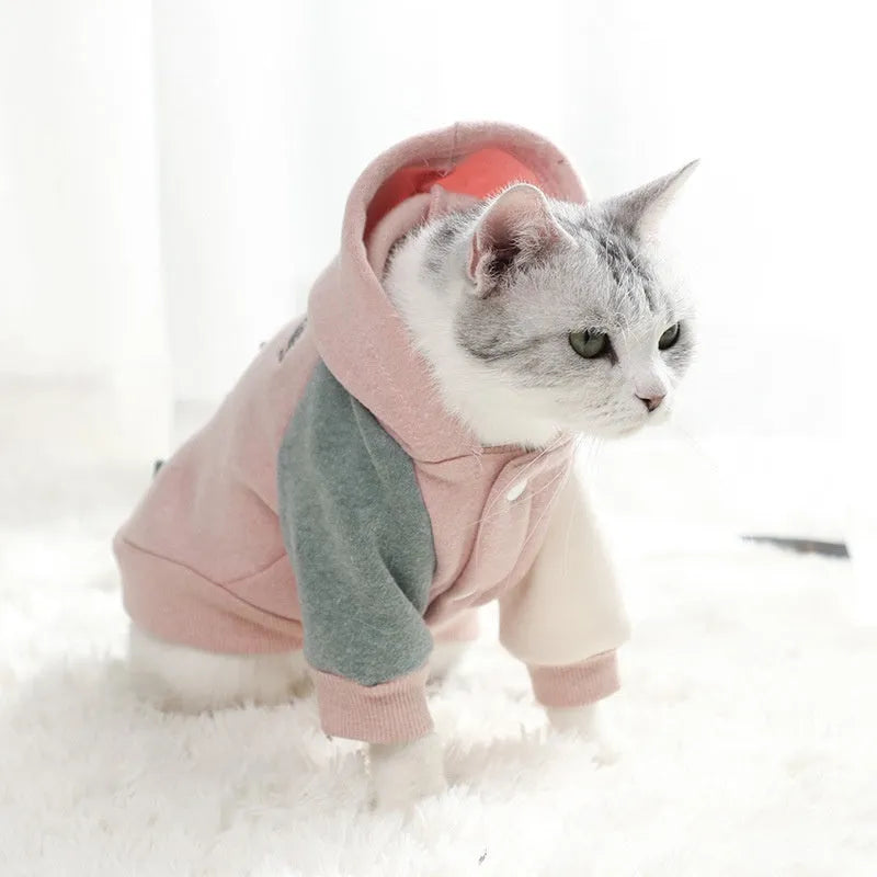 Cotton pet sweatshirt in brown, green or pink available in six dog sizes