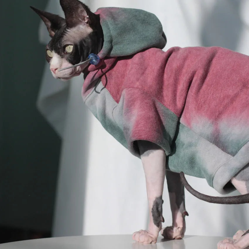 Thick tie-dye hooded cotton pet sweater in red yellow blue for cats and dogs, autumn winter wear