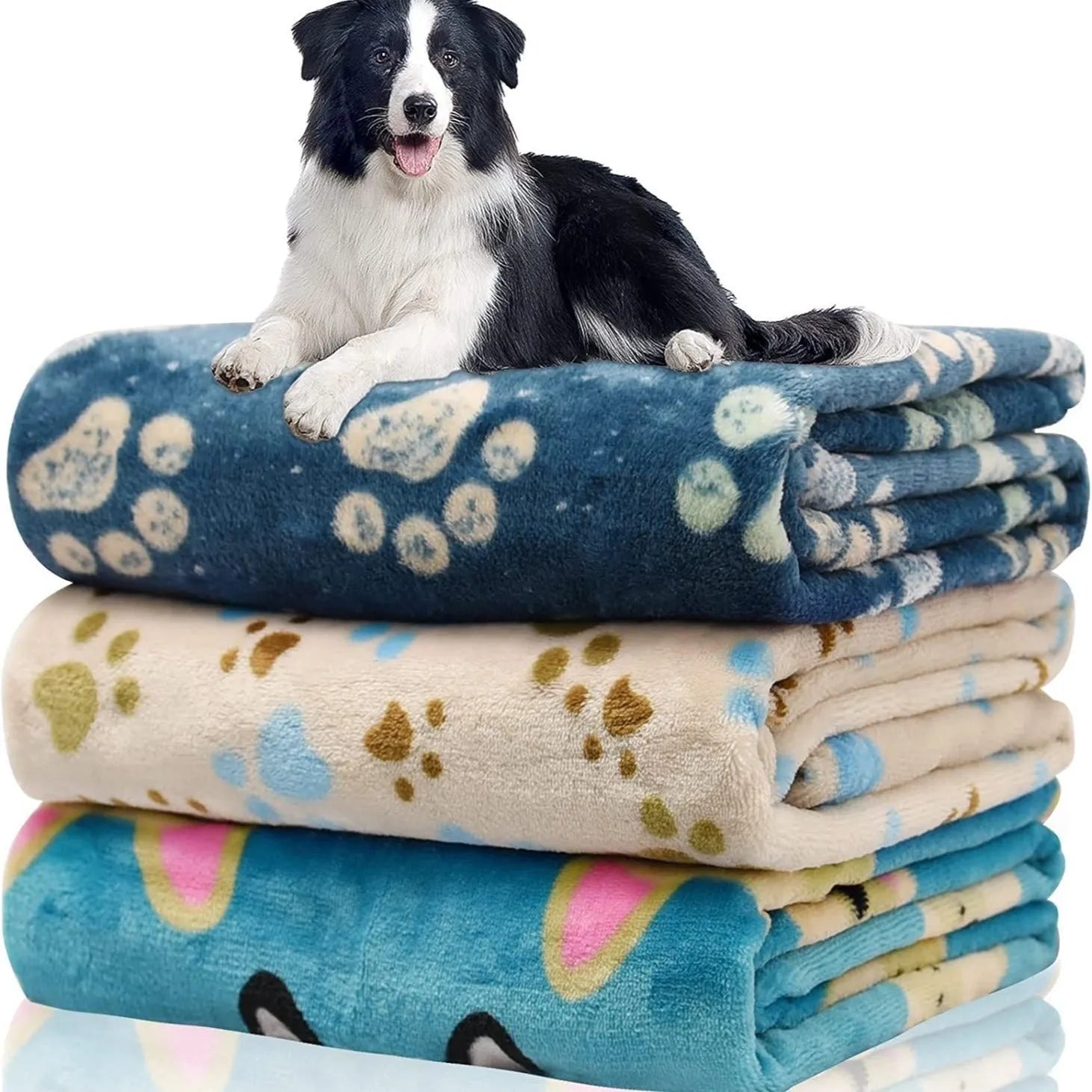Double-sided thickened polyester dog blanket with cartoon anime pattern in blue dog colour