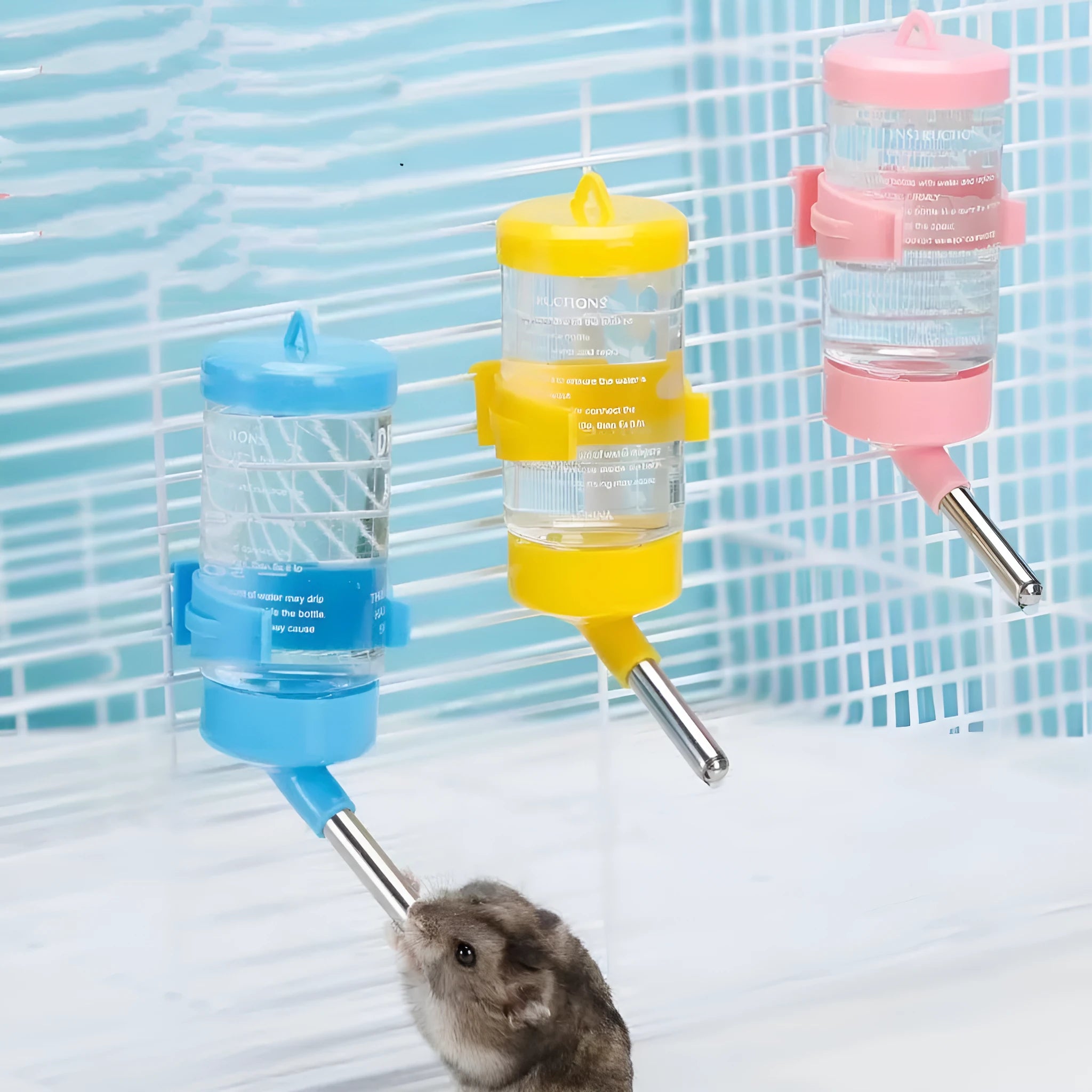 Small pet ball kettle water feeder in assorted colours with leak-proof design