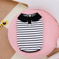Pet wearing coordinated cotton T-shirt and skirt set with stripe pattern