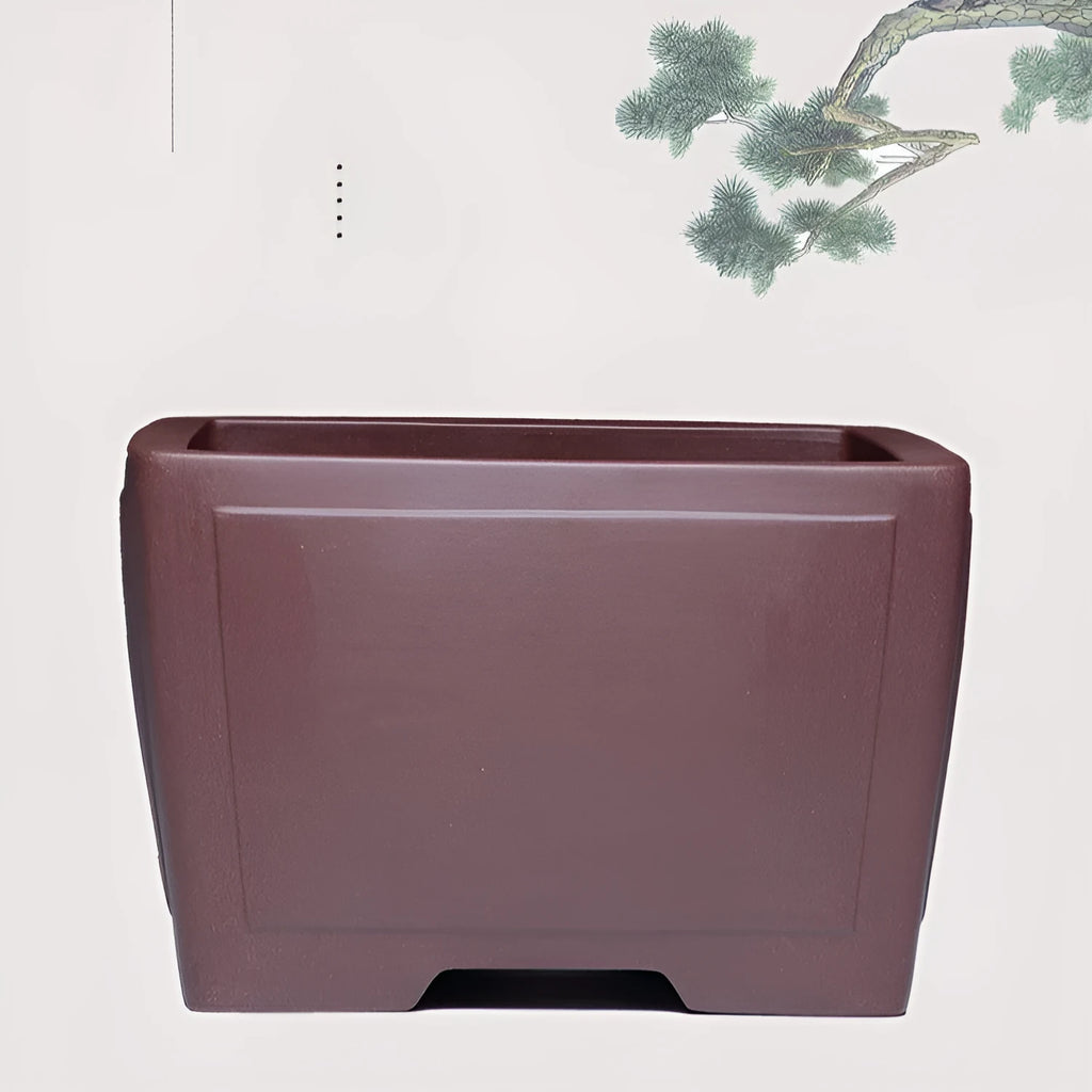 Square purple clay succulent bonsai pot with classical styling for indoor plant display