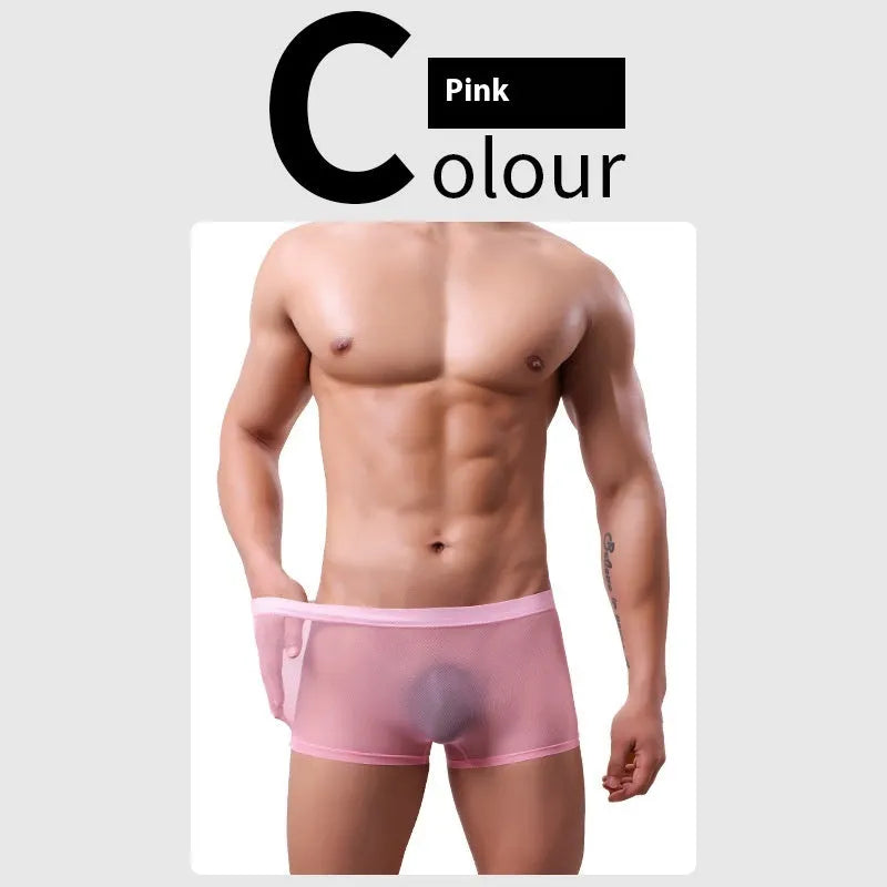 Men's low-waist mesh boxer briefs in thin sheer fabric, shown in multiple colours.